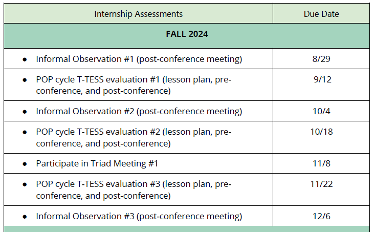 Fall 2024 Internship Assignments